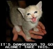 LOLCat1