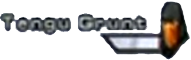 File:Tengu guard lifebar.png