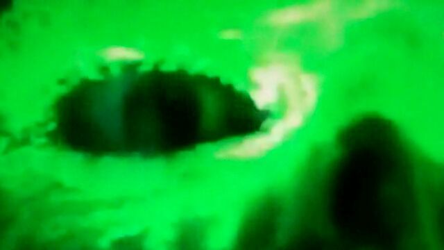 File:VID01146.jpg