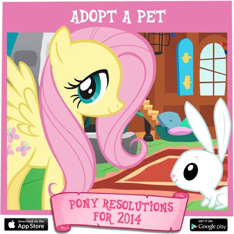 File:Pony Resolutions 2014 Fluttershy.jpg