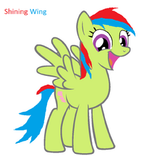 Shining Wing