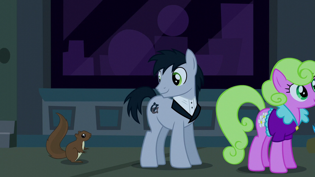 File:Stallion in line looking at a squirrel S6E9.png