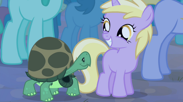 File:Dinky with a tortoise S4E14.png