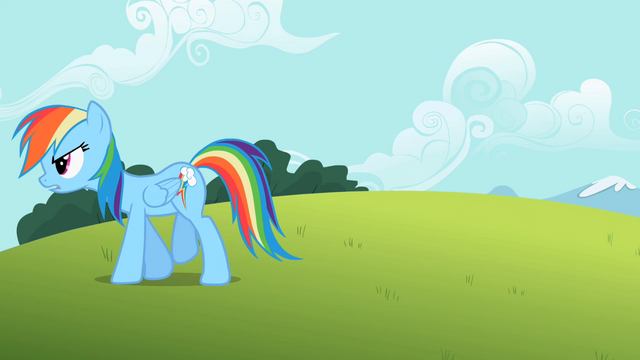 File:Rainbow Dash hard way S2E8.png