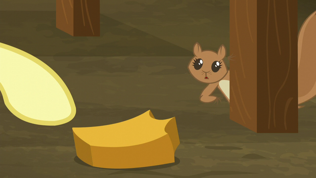 File:Fluttershy giving pumpkin chunk to squirrel S5E23.png