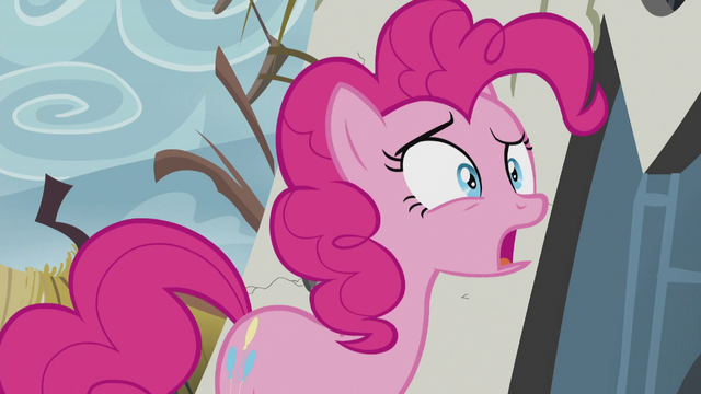 File:Pinkie "Or muffins!" S5E8.png