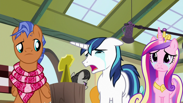 File:Shining Armor "it's small like her!" S7E3.png