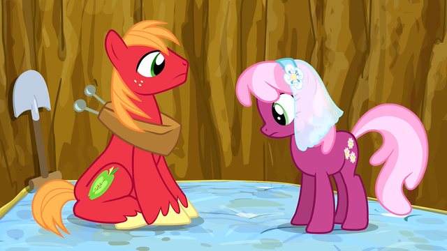 File:Big Mac and Cheerilee in the pit S02E17.png