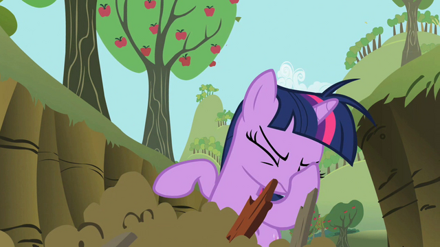 File:Twilight facehoof S02E03.png