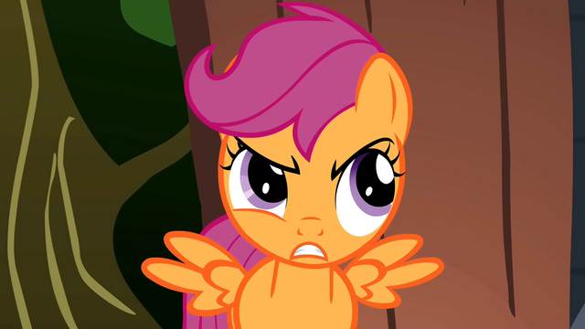 File:Scootaloo Annoyed S1E18.png