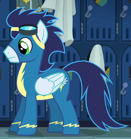 Plik:Soarin ID.png