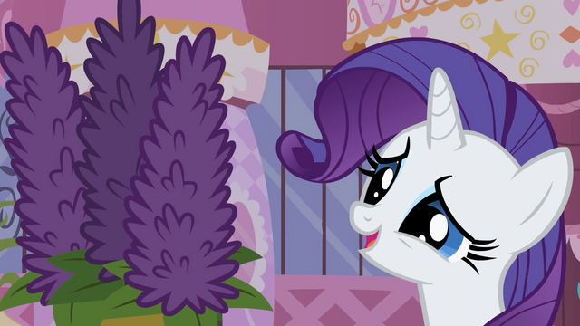 File:Rarity admiring plant S2E5.png