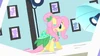 S01E20 Sesja Fluttershy.png