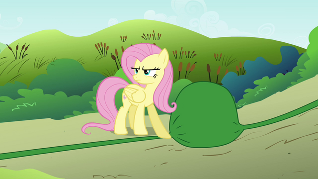 File:Fluttershy blocking water S2E19.png