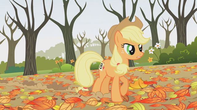 File:Applejack hey! S01E13.png