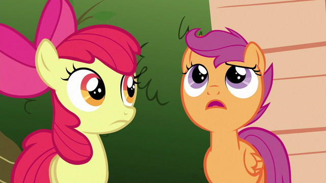 File:Scootaloo "just because it hasn't happened yet" S6E19.png
