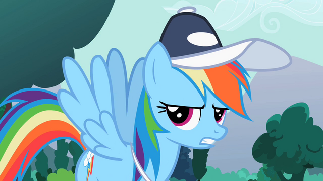 File:Rainbow Dash "Fine!" S2E07.png