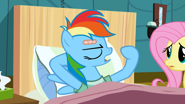 File:Rainbow Dash unquestionably S2E16.png