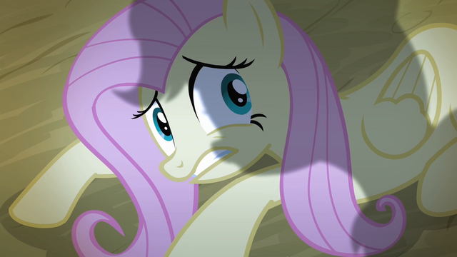 File:Fluttershy cowering down S4E07.png