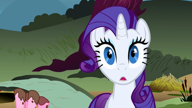 File:Rarity wide eyed S2E19.png