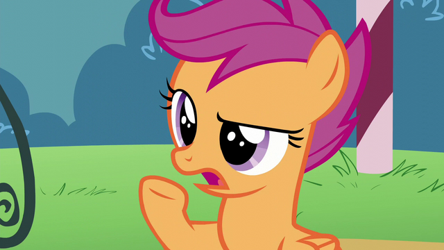 File:Scootaloo "What?" S6E4.png