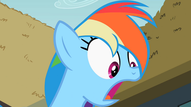 File:Rainbow Dash surprised S2E08.png