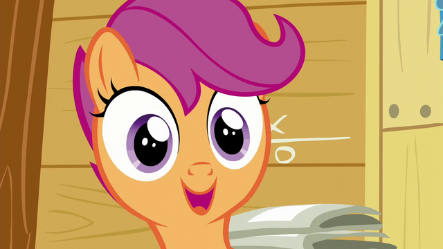 File:Scootaloo "Yeah" S6E4.png