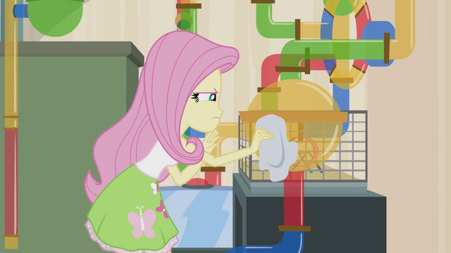 File:Fluttershy cleaning habitat EG2.png