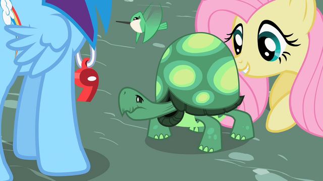 File:Fluttershy pushing Tank S2E07.png