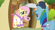 S2E22 Ponypox