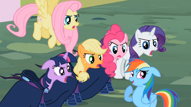 File:Main cast and Rainbow Dash "a little?!" S02E08.png