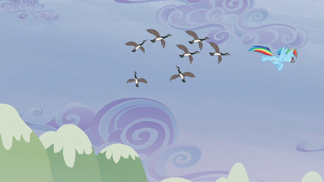 File:The birds following Rainbow S5E5.png