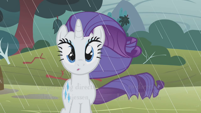 File:Rarity clueless look S1E8.png