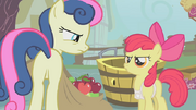 640px-Apple Bloom fills Sweetie Drops's bags with apples S1E12.png