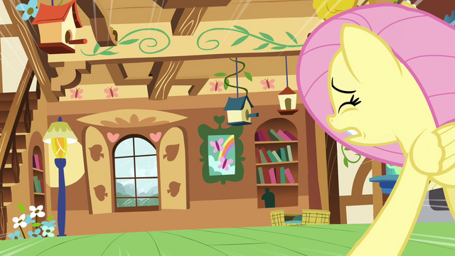 File:Fluttershy run to window S2E21.png
