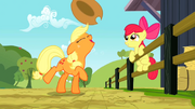 Applejack jogando seu chapéu T2E14