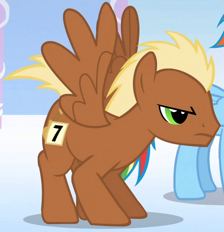 File:Pegasus Meadow Song S1E16.png