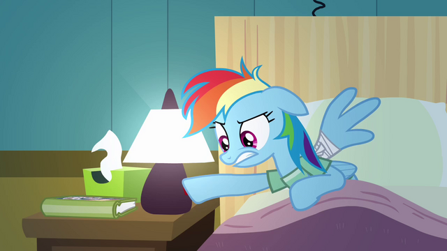 File:Rainbow Dash mad S02E16.png
