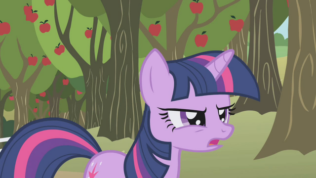 File:Twilight Sparkle frustrated S01E04.png