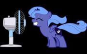 FANMADE Fans