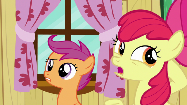 File:Apple Bloom "you might've heard some tall tales" S6E19.png