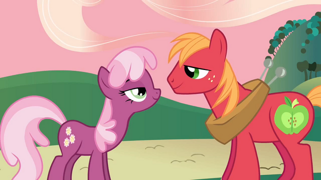 File:Cheerilee and Big McIntosh look into each other's eyes S2E17.png