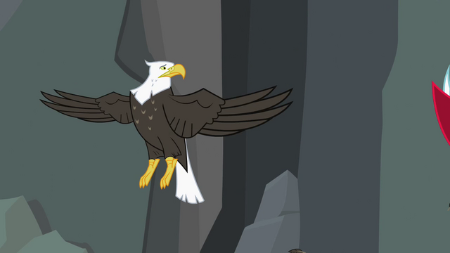 File:Bald eagle not headless S2E7.png