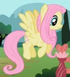 Fluttershy ID 2.png