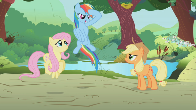 File:Rainbow Dash salute S1E10.png