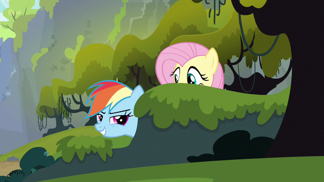File:Rainbow Dash here it comes S3E9.png