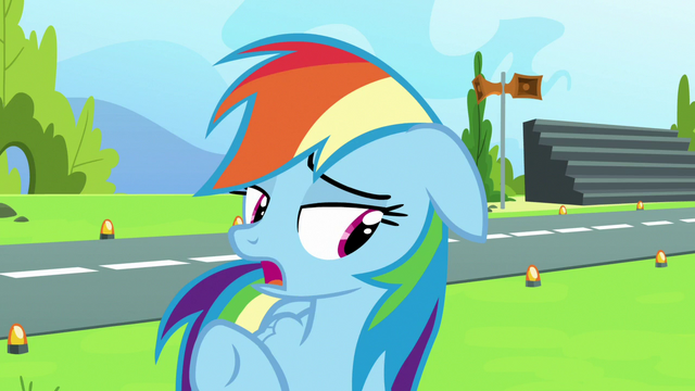 File:Rainbow Dash "if you're willing to help me" S7E7.png