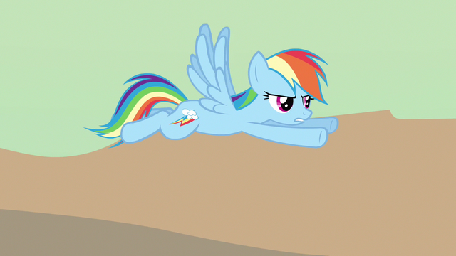 File:Rainbow Dash excuse me S2E14.png