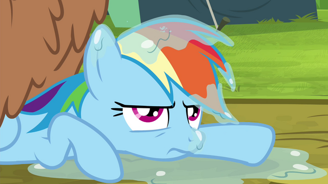File:Rainbow Dash unamused S4E22.png