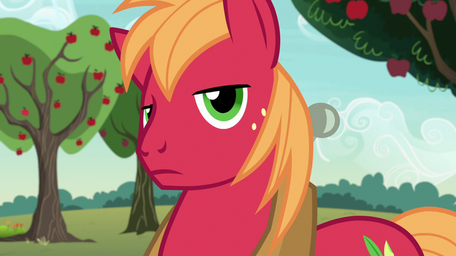 File:Big McIntosh looking very incredulous S7E9.png